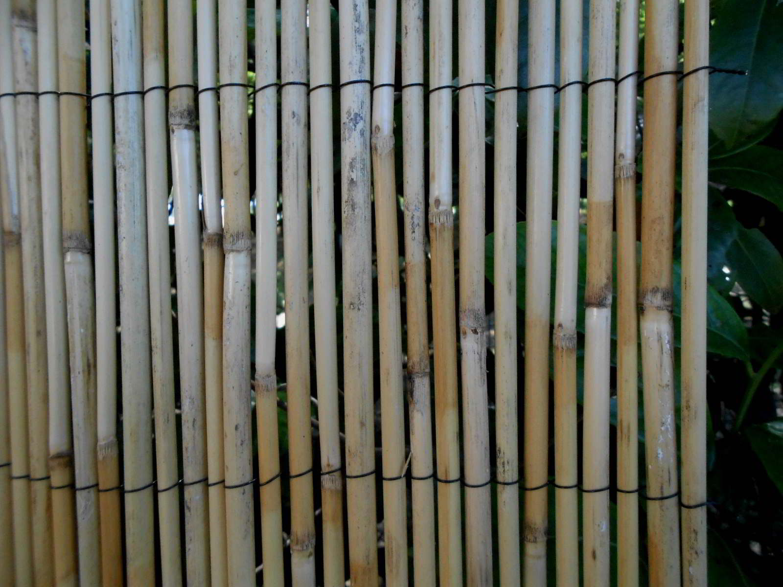 Arelle in bambù,arelle di bambu,canne di bamboo,stuoie bambu